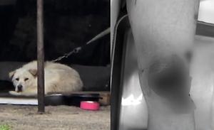 뉴스스탠드 기사 보러가기