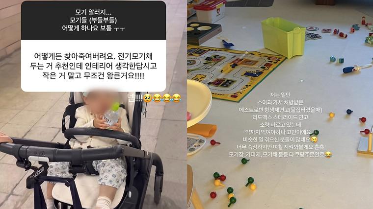 헉스기사