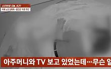 뉴스스탠드 기사 보러가기