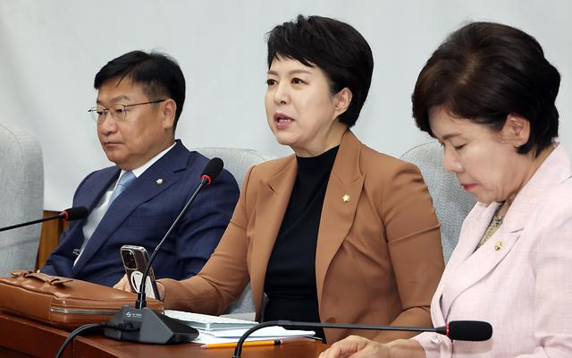 김은혜 “전승절 불참하고 한·미 관세 협상 준비”