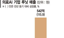 카지노사이트4