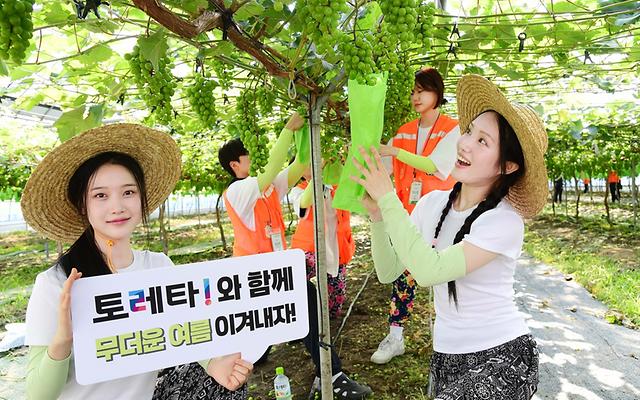 코카-콜라사 토레타! 폭염 속 수분보충 강조, 대학생 농촌봉사단체에 음료 전달
