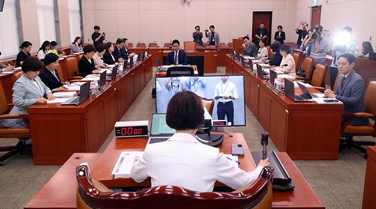 정치