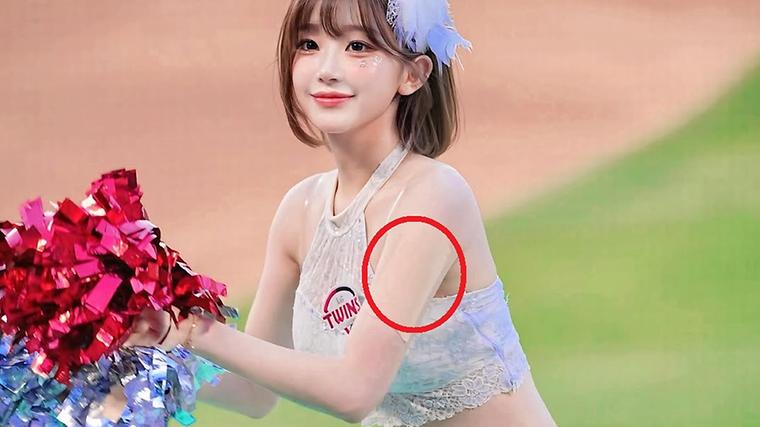 헉스기사