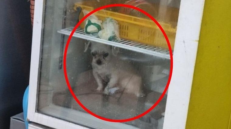 헉스기사