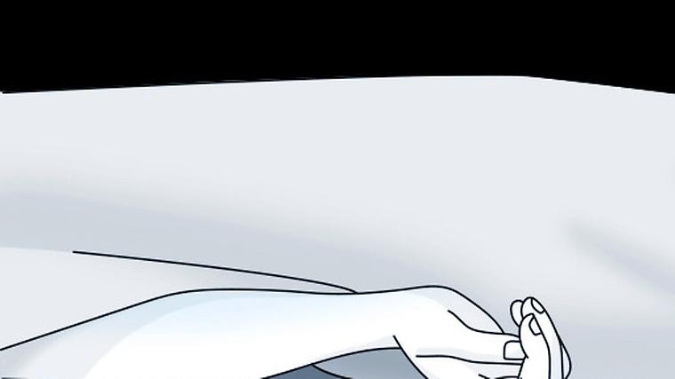 헉스기사