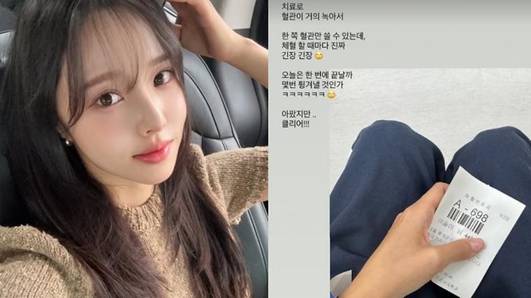 헉스기사