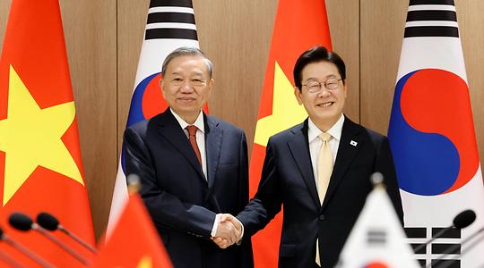 정치