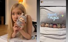 스텐드뉴스