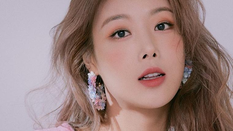 헉스기사