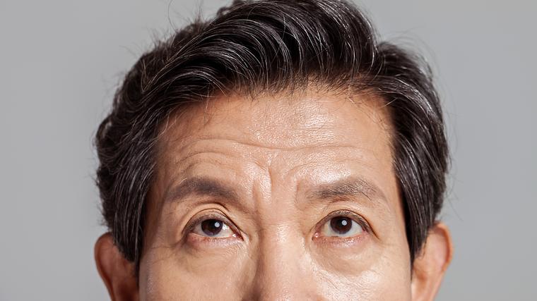 헉스기사