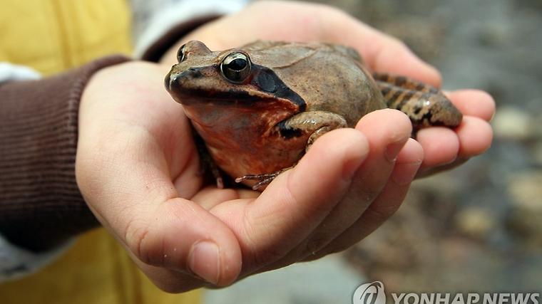 헉스기사