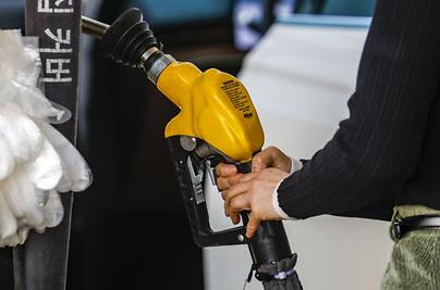 나프타 2~3주면 바닥 "러시아산 수입" SOS