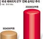 삼전닉스 2배 ETF, 소형 운용사는 줄탈락