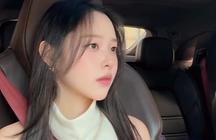 연예