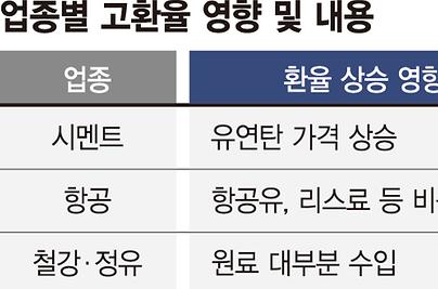 산업계 ‘고환율 쇼크’… 시멘트 원료 37% 급등 [환율 1500원 뉴노멀 시대]