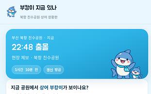 국립부경대생, '부캉이' 현황 공유 웹 서비스 개발