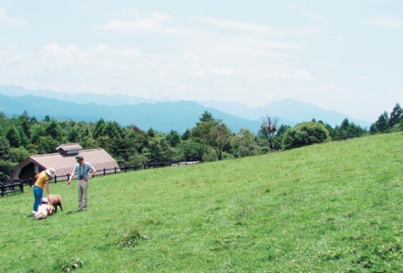 [송동근기자의 맛있는 일본여행] 80. 야마나시