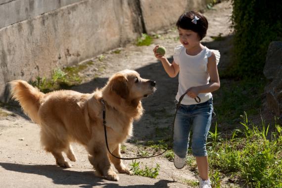 <새영화> 반려동물과 사람간의 교감을 그린 영화 '미안해, 고마워'에서 개(수철이)와 즐거운 한 때를 보내는 린이(안서현). /사진=fnDB
