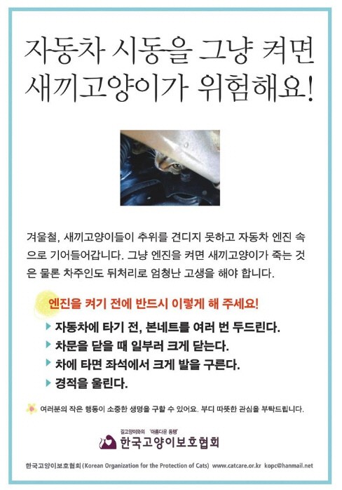 추위 떨던 고양이, 車 밑에 숨었다 그만..