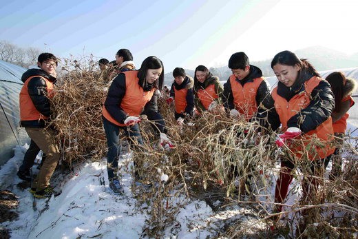 한화그룹 고졸 신입사원 볏짚묶기 봉사