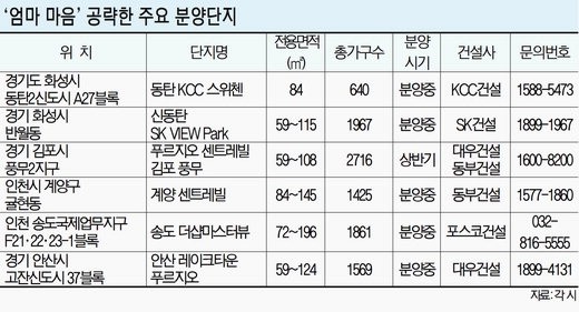 “아파트 분양, 주부 맘에 달려”