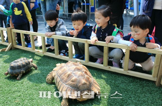 부산아쿠아리움 ‘육지거북’ 무료 전시