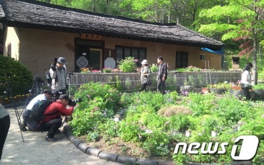 봄꽃 그리우면 “진천 보탑사로 오세요”