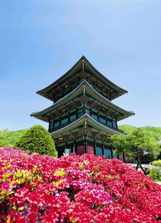 봄꽃 그리우면 “진천 보탑사로 오세요”