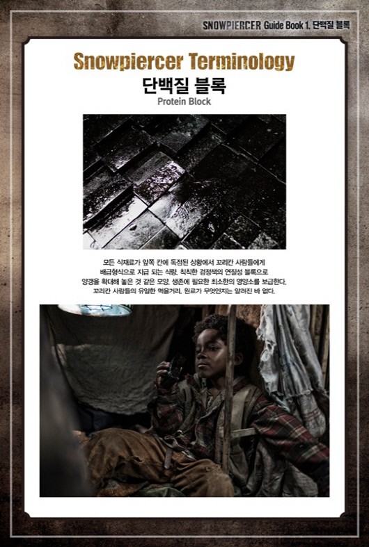 설국열차 양갱, 영화 속 ‘단백질블록’과 유사해..“원료 뭐길래?”