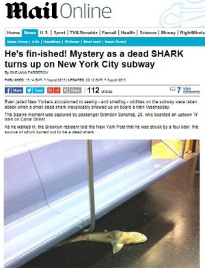 美 지하철 상어 발견, 지하철 좌석 밑에 죽은 상어 시체가..