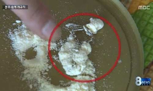 분유 개구리사체 발견