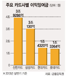 카드社 이익잉여금 처리 ‘골치’
