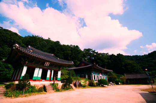 [한가위] 가볼만한 곳/전통酒 따라가니 명절 피로가 술술 풀리는구나