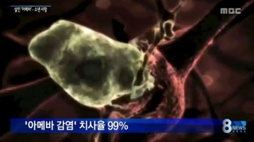 뇌먹는 아메바 (MBC 뉴스 캡처)