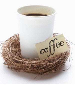 커피 원가에 관한 불편한 진실.. ‘컵’이 ‘커피콩’보다 비싸