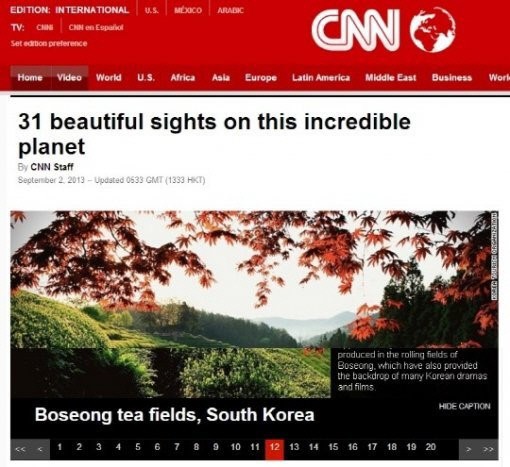 보성 녹차밭, CNN 선정 세계 놀라운 풍경 31선에 포함