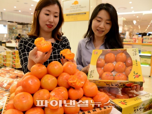 부산 부전동 롯데백화점 부산본점 지하 1층 식품관에서는 유명 반시 산지인 경북 청도에서 출하한 반시를 선보이고 있다. 씨가 없는 감으로 유명한 청도반시는 비타민C와 아미노산이 풍부해 감기 예방에도 좋은 과일로 잘 알려져 있다.