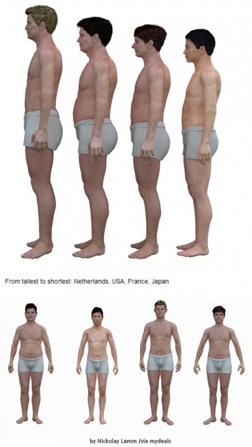 세계 중년 남성 체형 비교