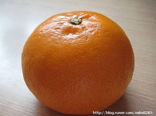 해조류·귤·굴, 겨울철 다이어트 음식으로 제격