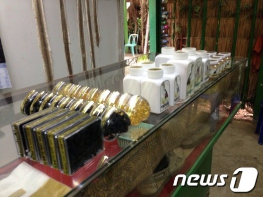 태국서 가짜 ‘뱀 쓸개’ 판매한 일당 적발