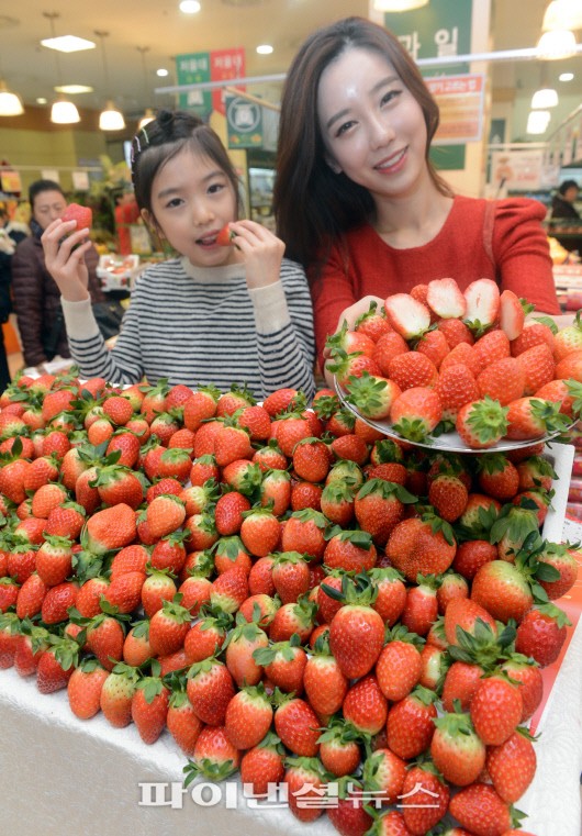 롯데마트, 딸기 20% 저렴하게 판매