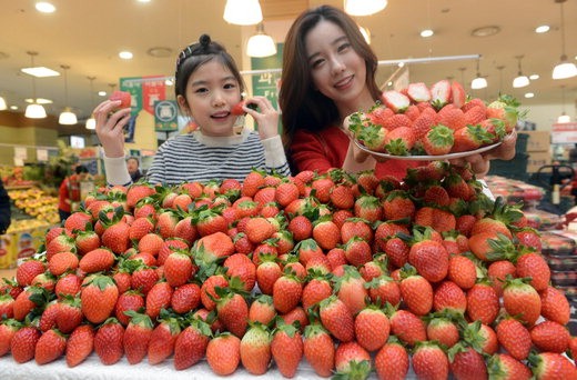 롯데마트 “달콤한 딸기 시세보다 20% 싸게 판매해요”
