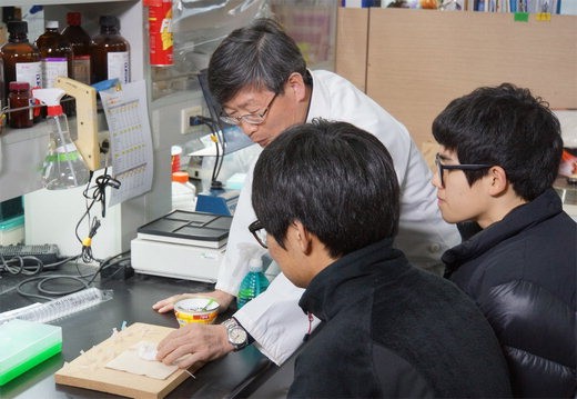 건국대 글로컬캠퍼스, 고교생 초청 ‘융합인재 양성 과학캠프’