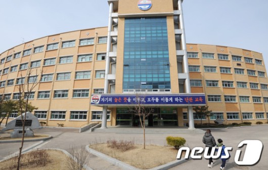 ‘황금돼지띠 효과’ 강원 초교 입학생 8.6% 증가