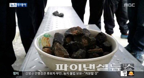 고창서도 운석 추정 암석 조각 무더기 발견