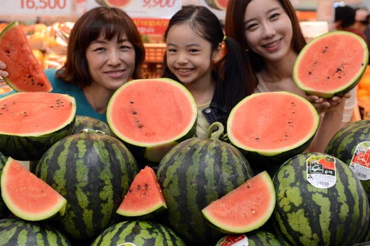 롯데마트 고당도 하우스수박 9900원에 판매