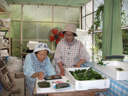 마을기업은 영국을 비롯한 선진국에서 지역경제 활성화는 물론 지역공동체 복원 차원에서 정부의 적극적인 지원 아래 다양한 형태로 발전하고 있다. 일본 가미가쓰마을의 마을기업인 이로도리에서 노인들이 직접 생산한 나뭇잎을 이용, 초밥을 장식하고 있다.