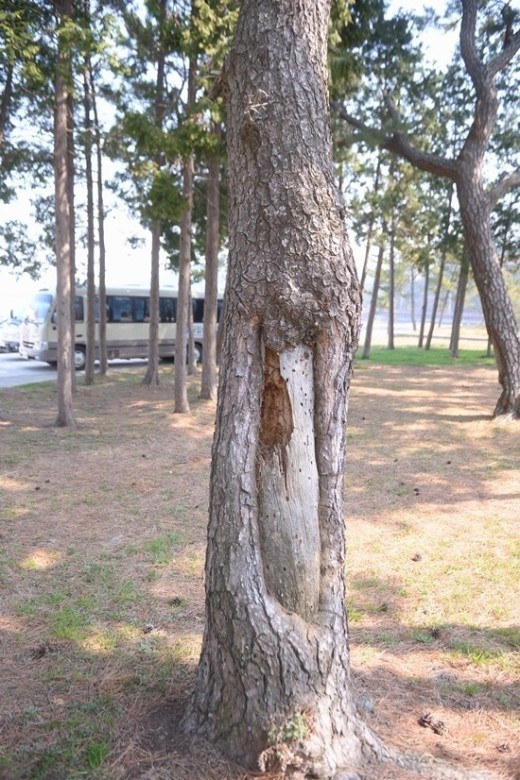 [인물 줌인]‘박준뷰티랩’ 박준, 소록도에 피는 봉사의 꽃