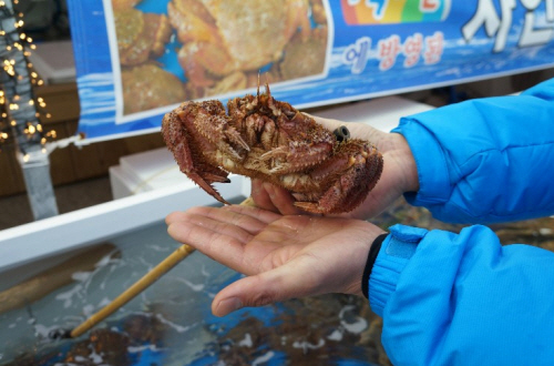 울산대게맛집 ‘대게천국’ 입소문 타는 이유?